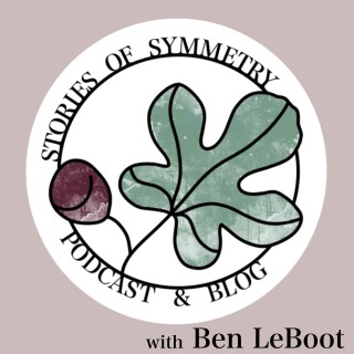 Stories of Symmetry album art by Ben LeBoot LeBoutillier